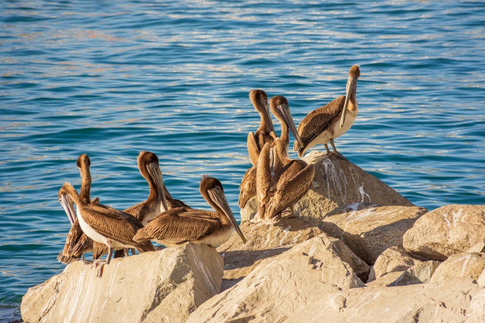 Morro Bay Beach Inn Luaran gambar