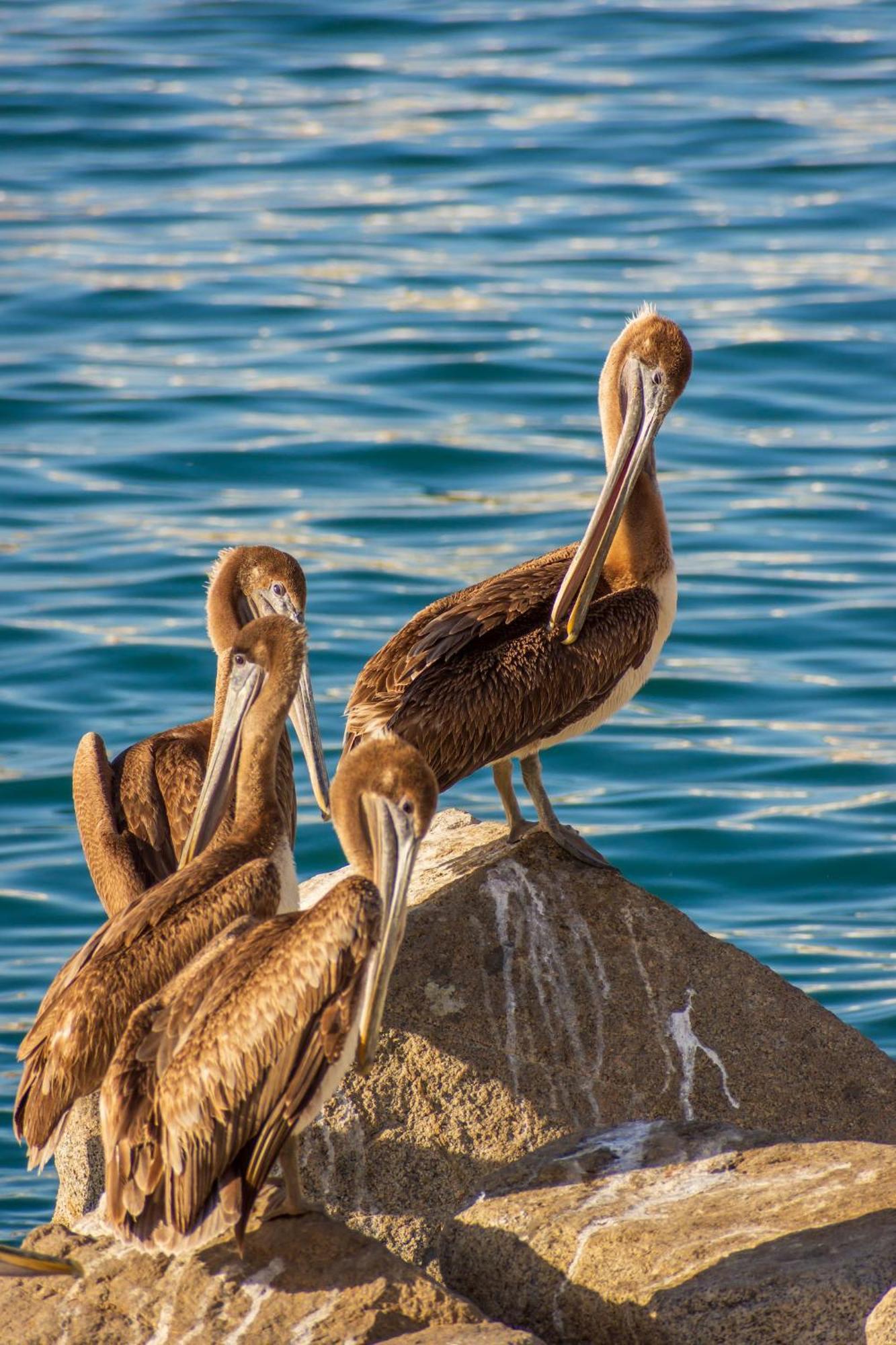 Morro Bay Beach Inn Luaran gambar